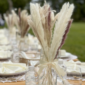 Boho Picnic
